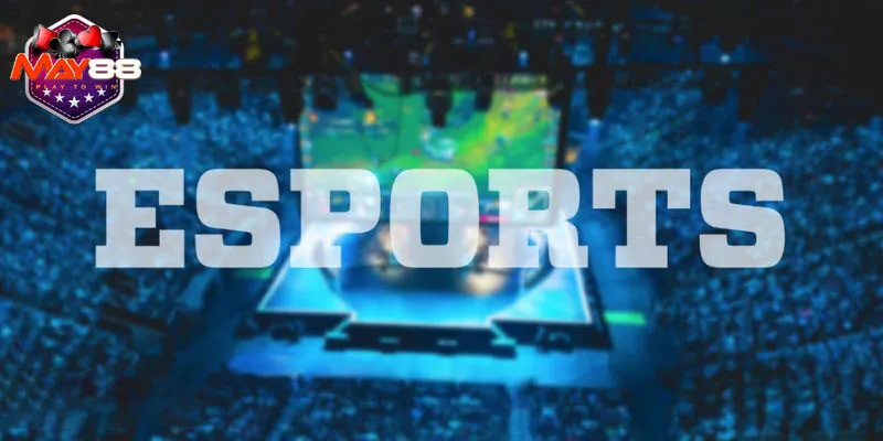 Mỗi ngày sảnh Esports có hàng triệu lượt tài khoản truy cập và tham gia cá cược.