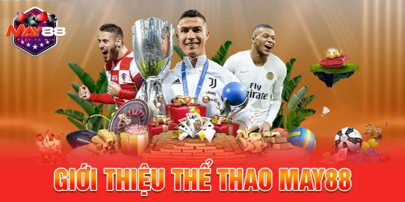 Đặc biệt, thể thao MAY88 sẽ phát sóng trực tiếp các trận thi đấu.