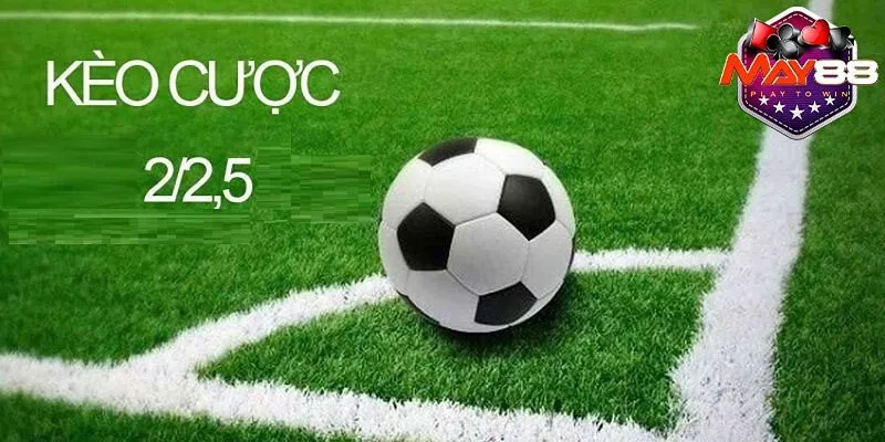 Nghiên cứu năng lực thi đấu và phong độ gần đây của cả hai đội trước khi cược
